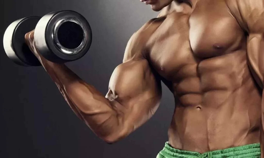 best creatine for muscle growth
