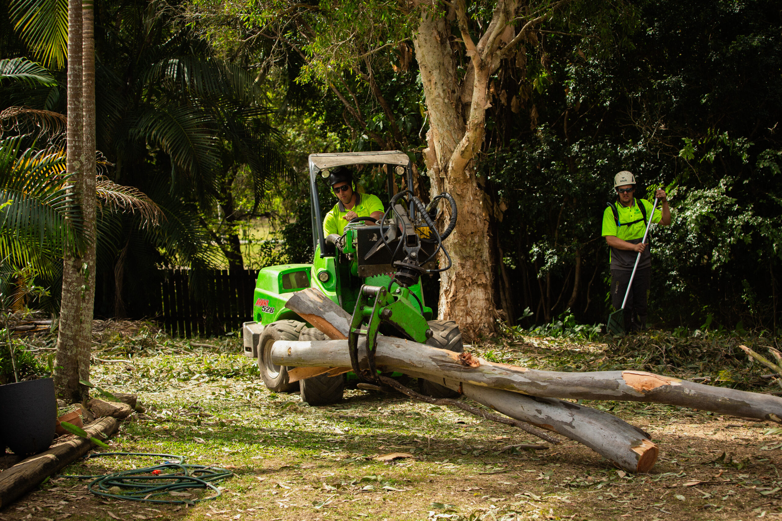 Tree Care Solutions